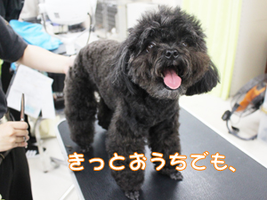 ☆カメラ目線特集☆
